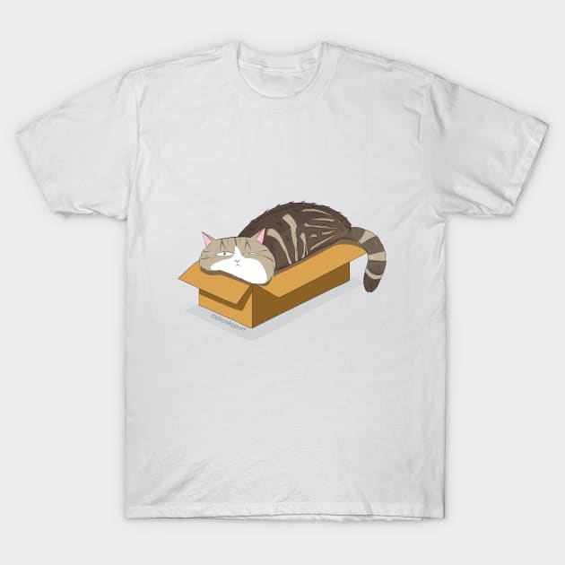 Cat relaxed in box T-Shirt by Chonkypurr